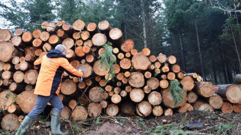 Stockage bois de chauffage